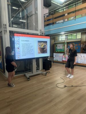 WhatsApp Image 2024-05-30 at 12.53.08